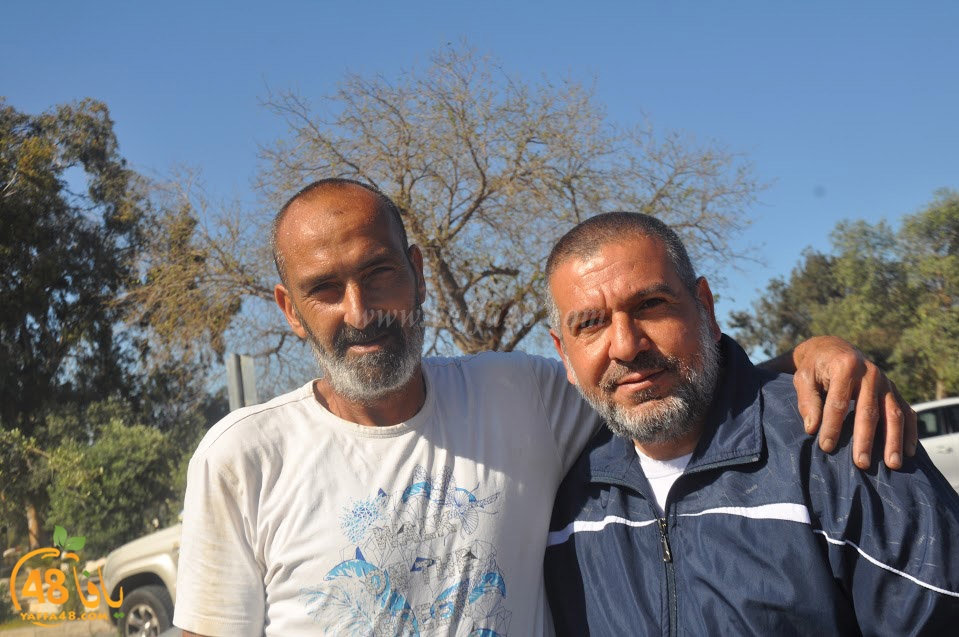 tasohamlalanjna (21).jpg